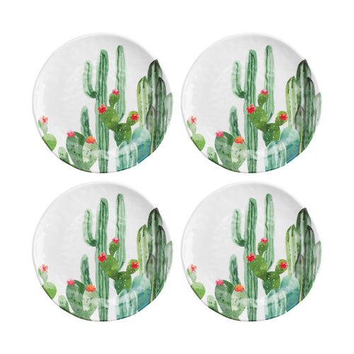 Gourmet Art 4-Piece Desert Cactus 6