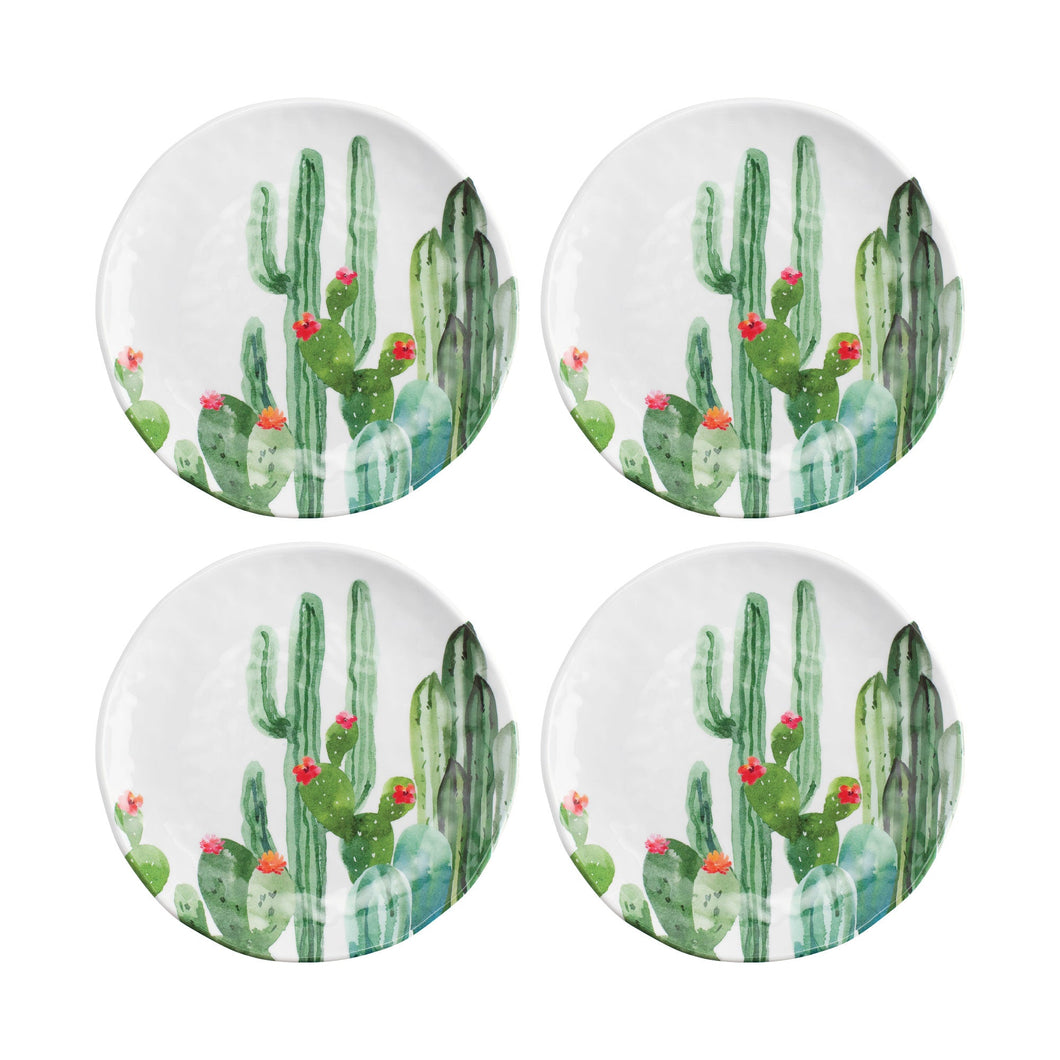 Gourmet Art 4-Piece Desert Cactus 6