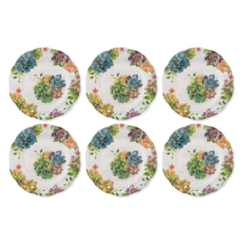 Gourmet Art 6-Piece Succulents Melamine 11