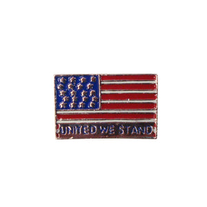 United We Stand Flat Pendant Pin Set of 12