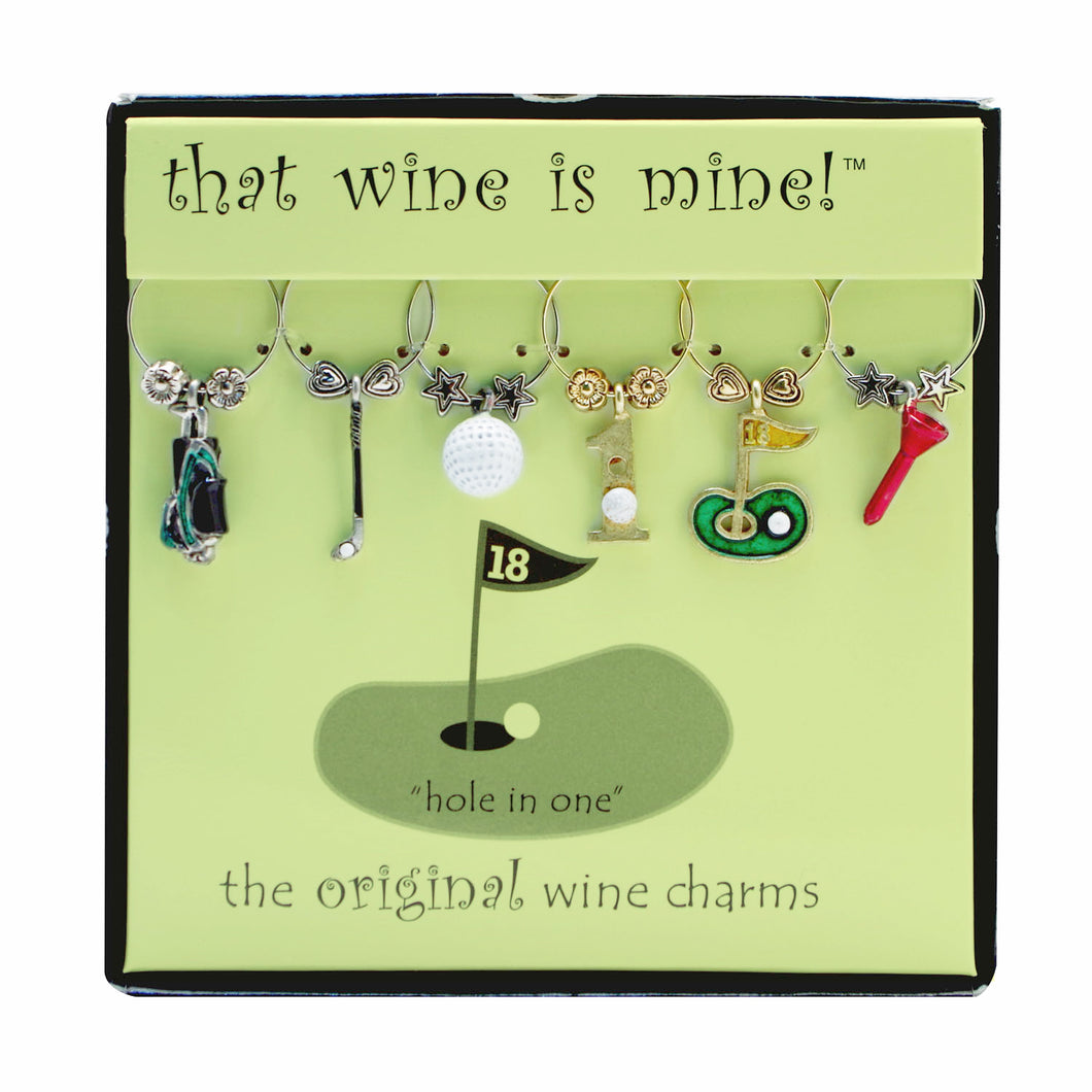Wine Things 6-Piece Hole In One Wine Charms, Painted